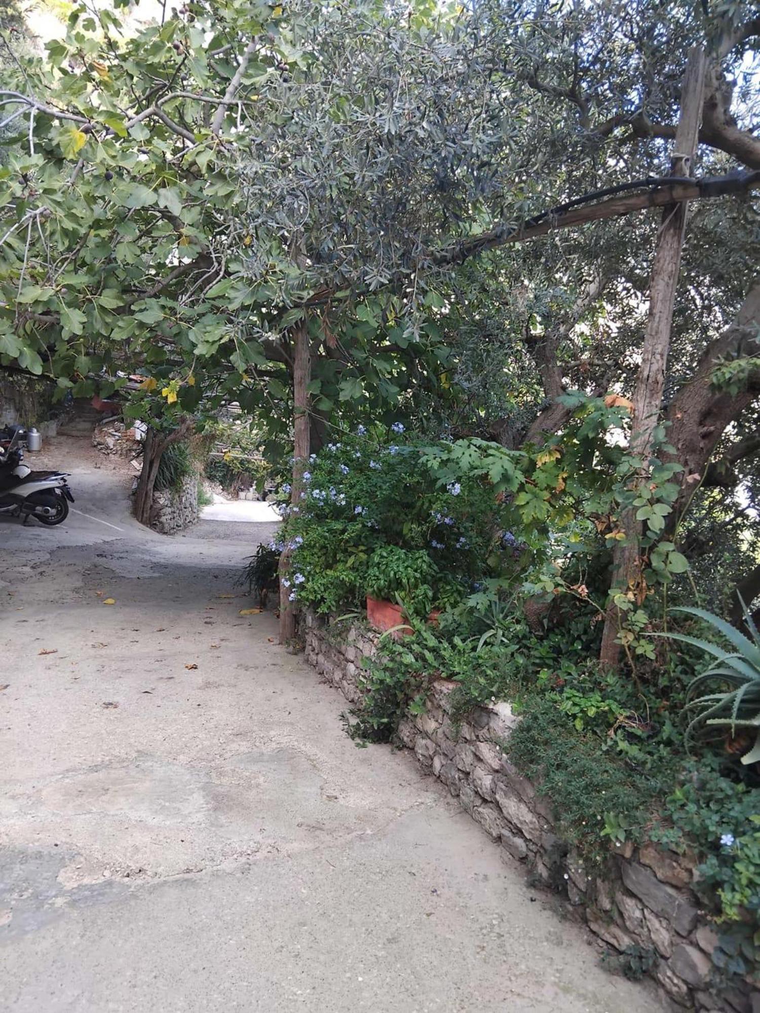 - Casa Alina Holiday home *